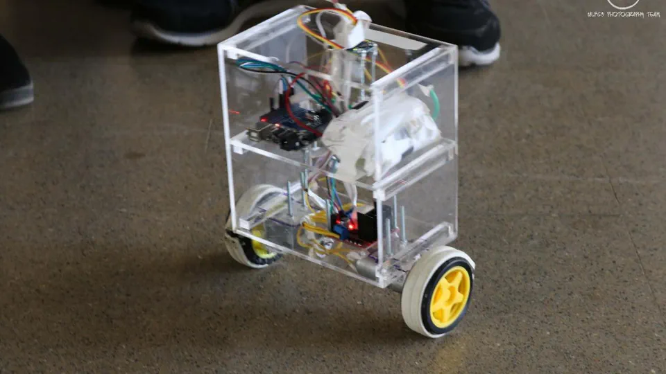 Self-Balancing Robot
